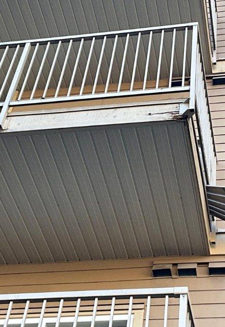 exterior-rot-repair-service