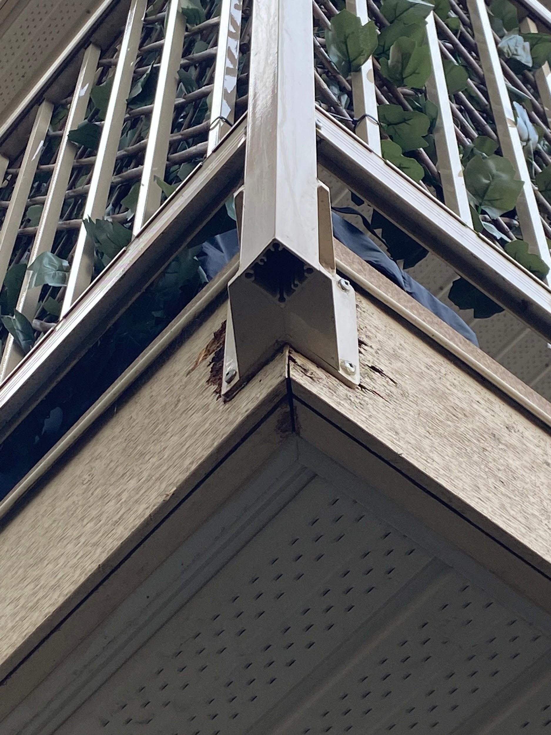 exterior-rot-repair-service